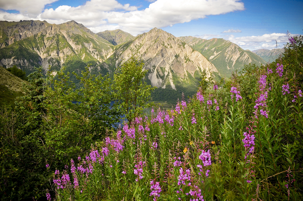 Lake Clark National Park