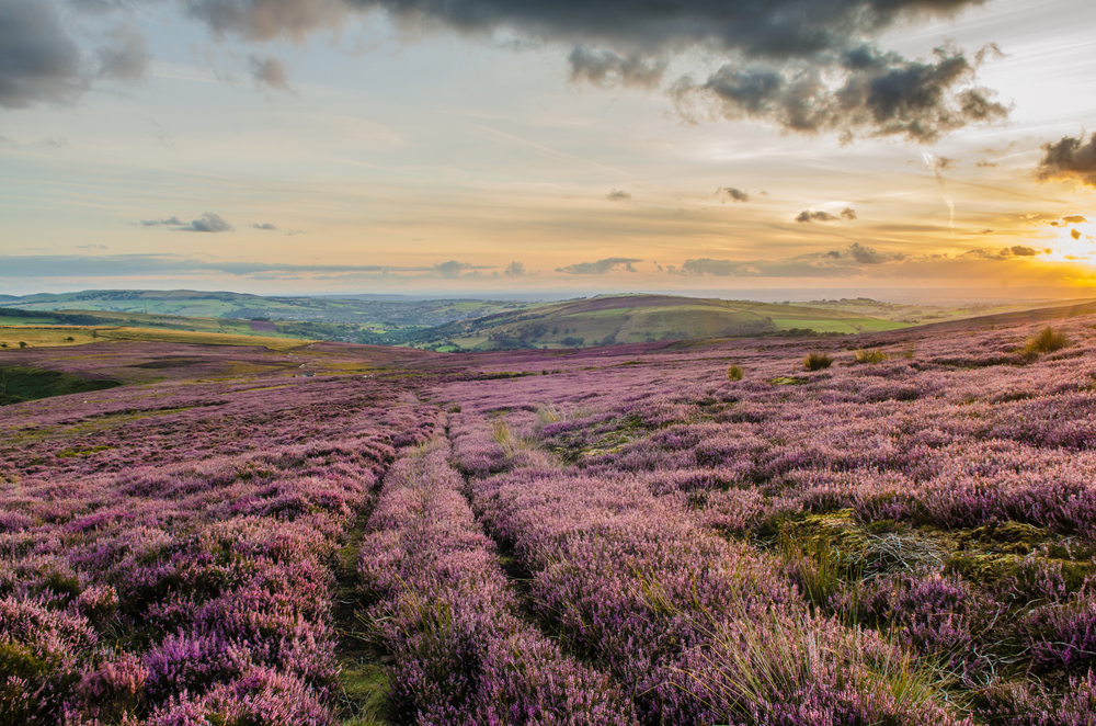Lake District National Park