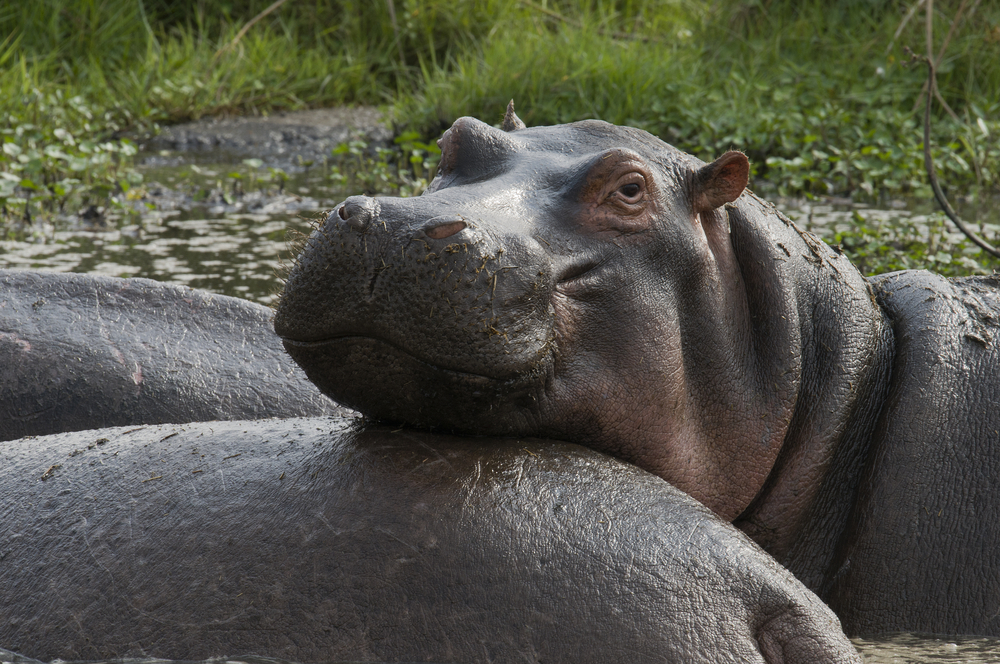 Lake Manyara National Park