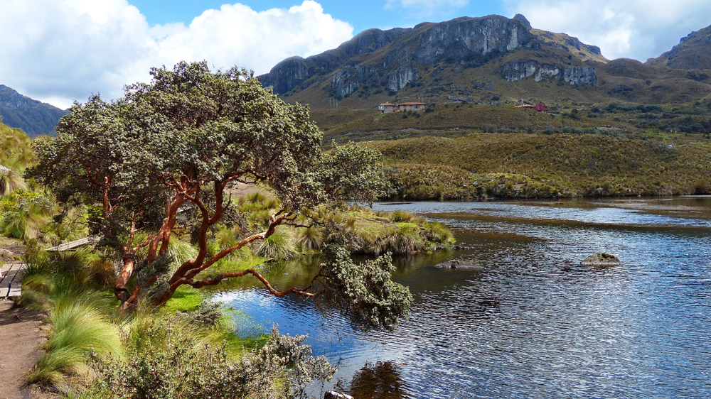 El Cajas National Park