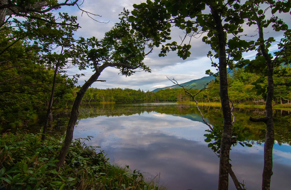 Shiretoko National Park