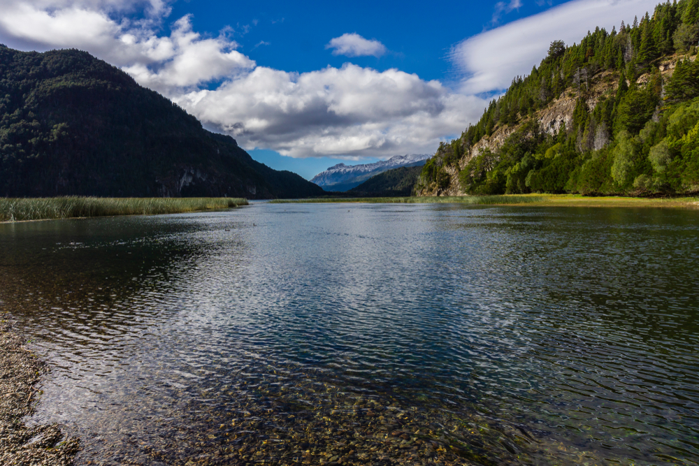Los Alerces National Park