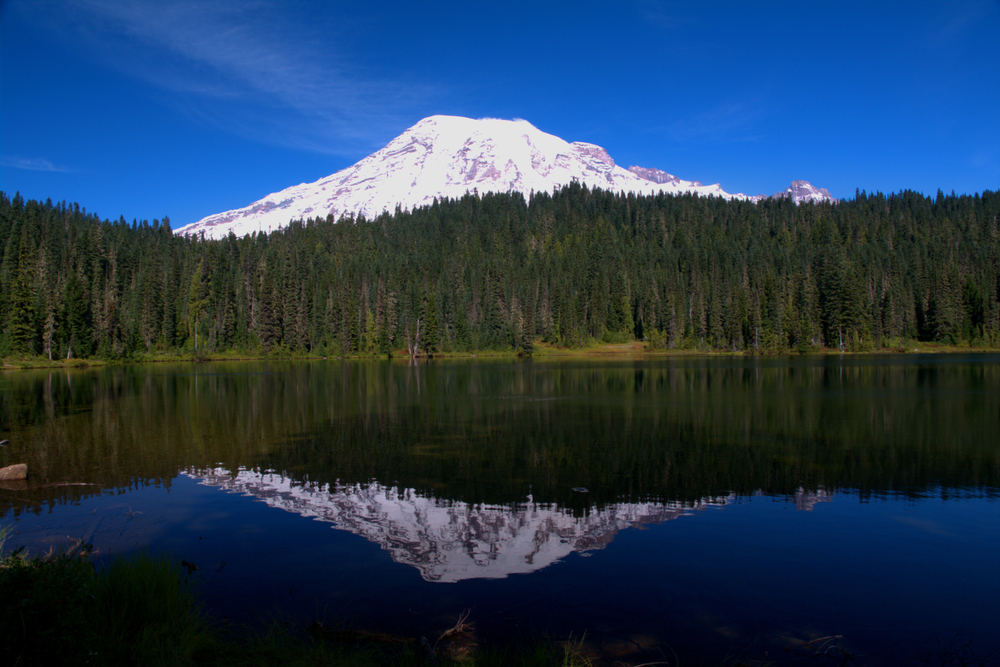 Mount Rainier National Park