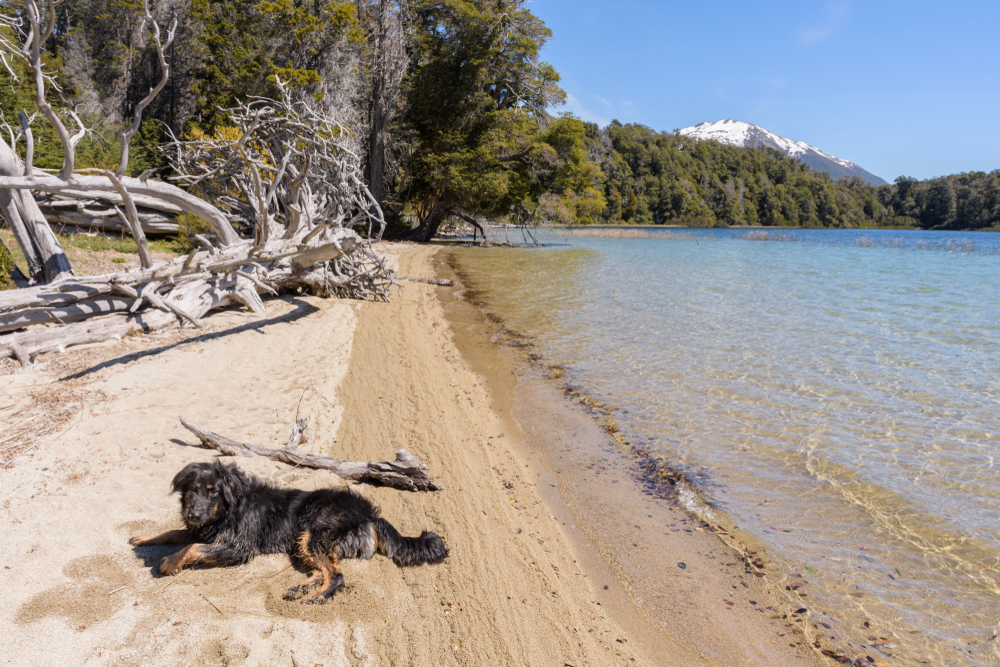Los Arrayanes National Park