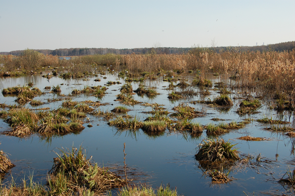 Losiny Ostrov National Park