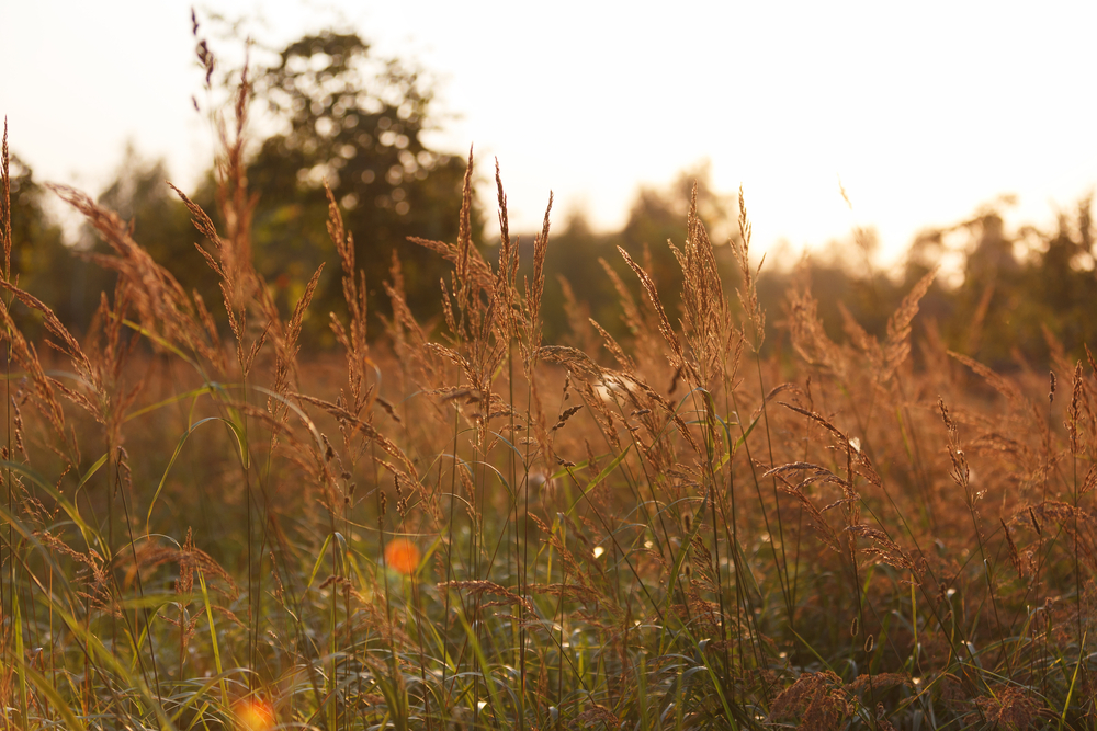 Losiny Ostrov National Park