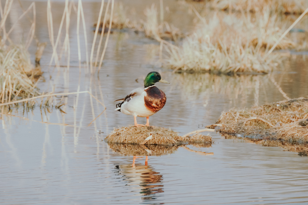 Losiny Ostrov National Park