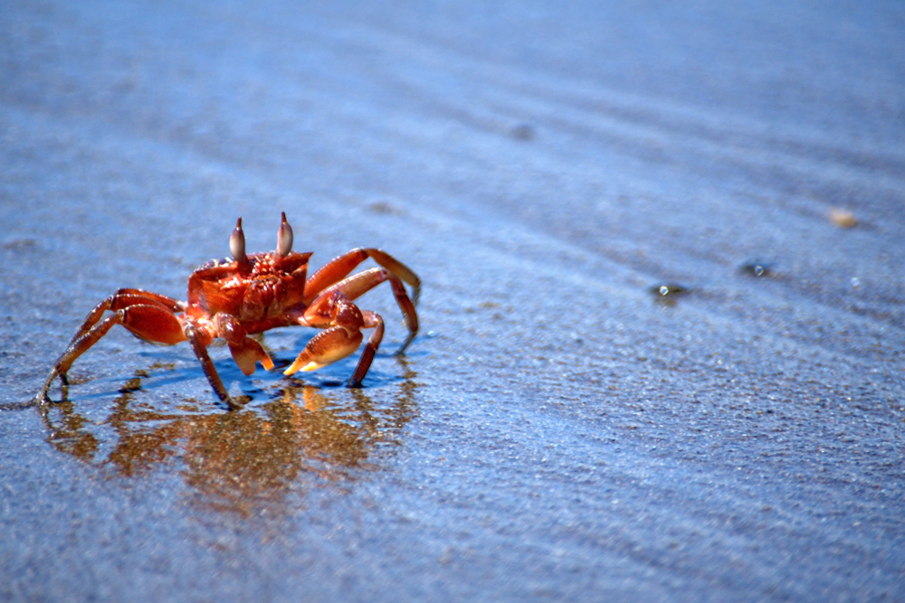 Machalilla National Park