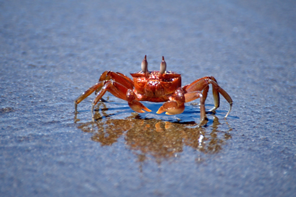 Machalilla National Park