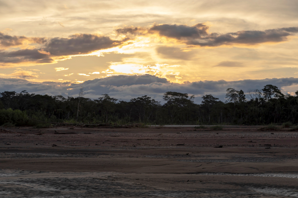 Madidi National Park