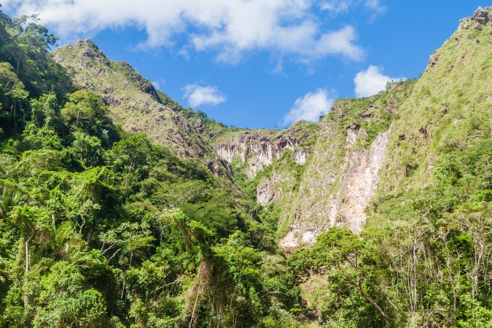 Madidi National Park