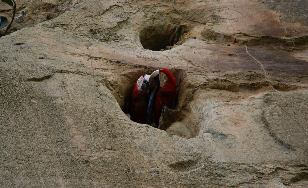Madidi National Park