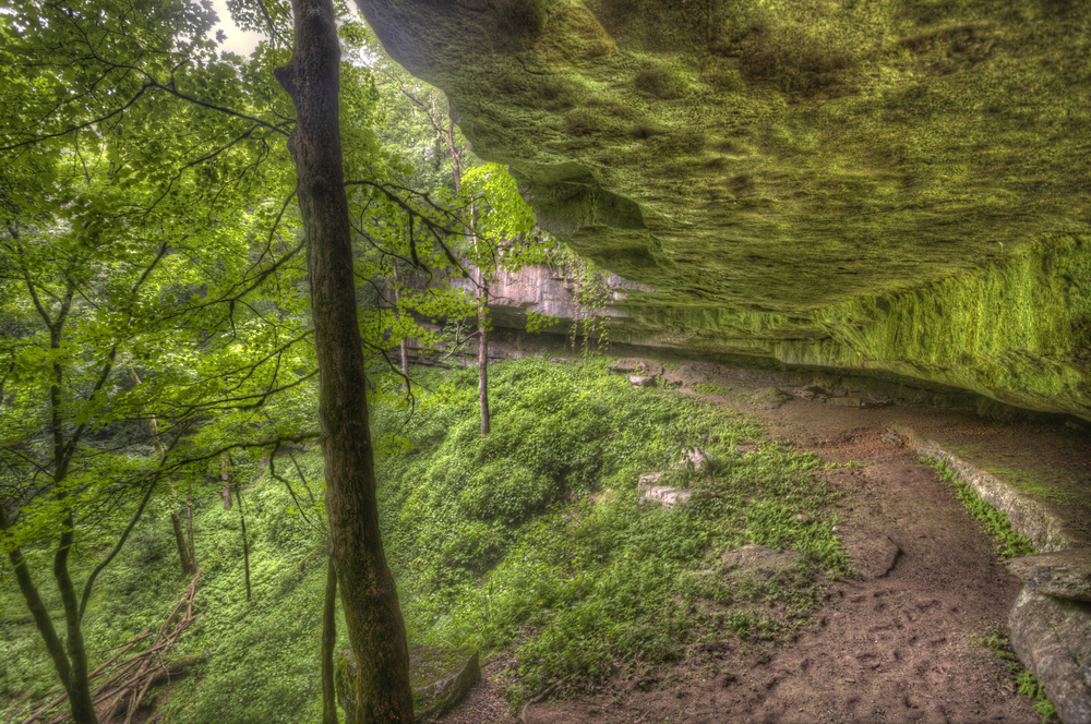 Mammoth Cave National Park