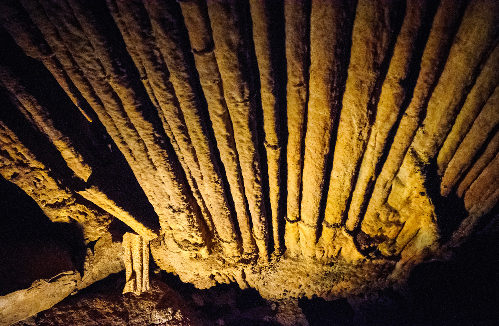 Mammoth Cave National Park