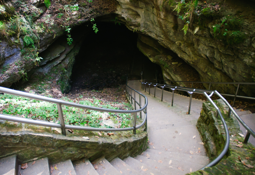 Mammoth Cave National Park