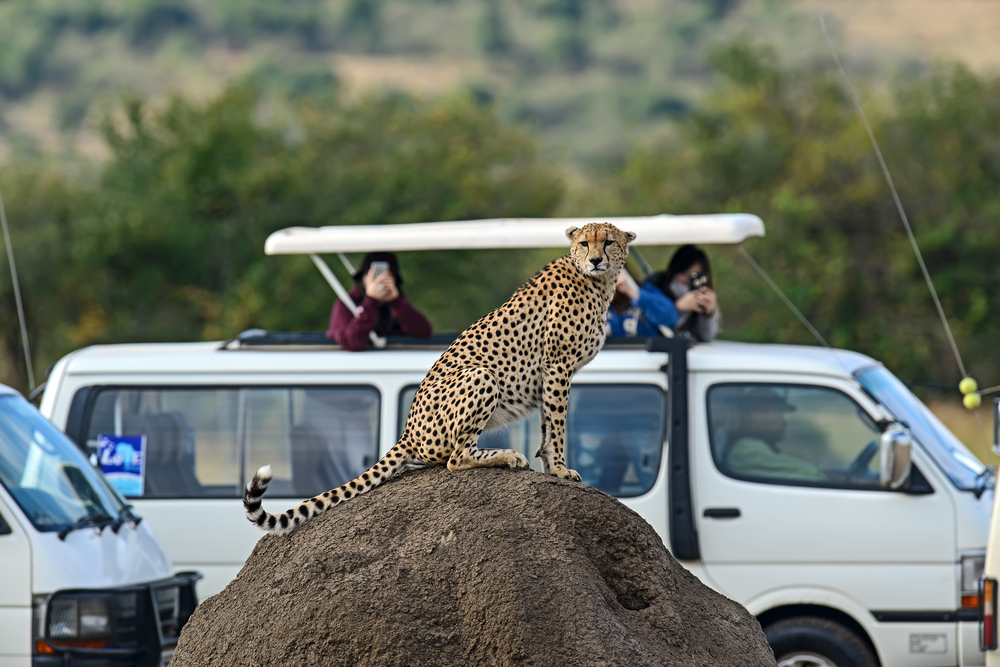 Masai Mara National Park