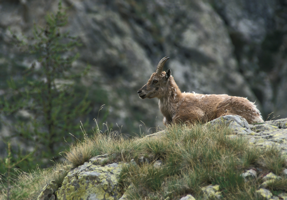 Mercantour National Park