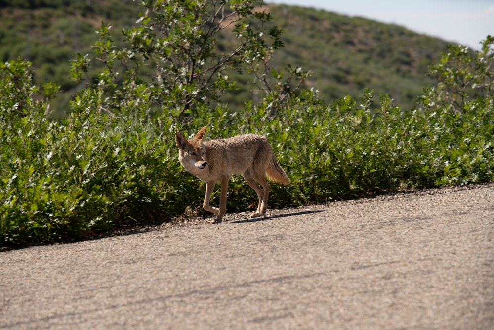 Mesa Verde National Park
