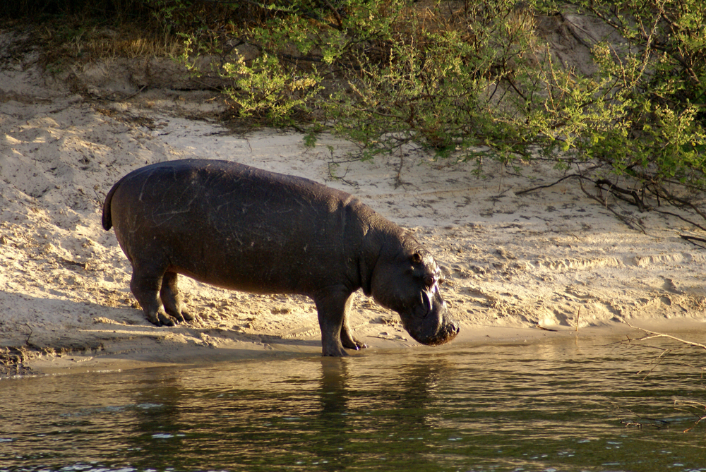 Mosi-oa-Tunya National Park