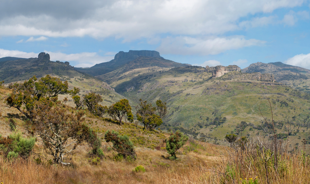 Mount Elgon National Park