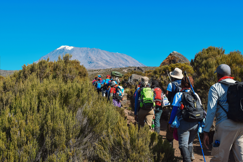 Kilimanjaro National Park