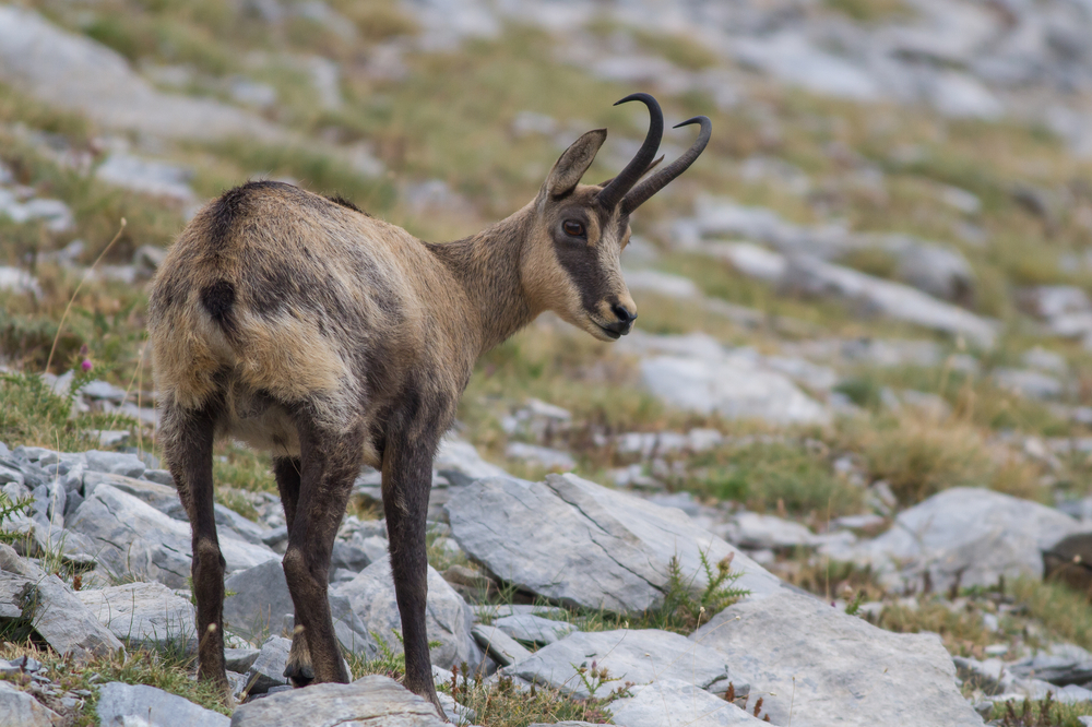 Olympus National Park