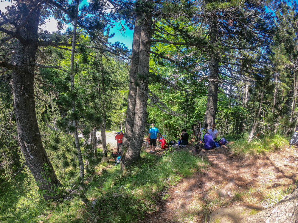 Olympus National Park