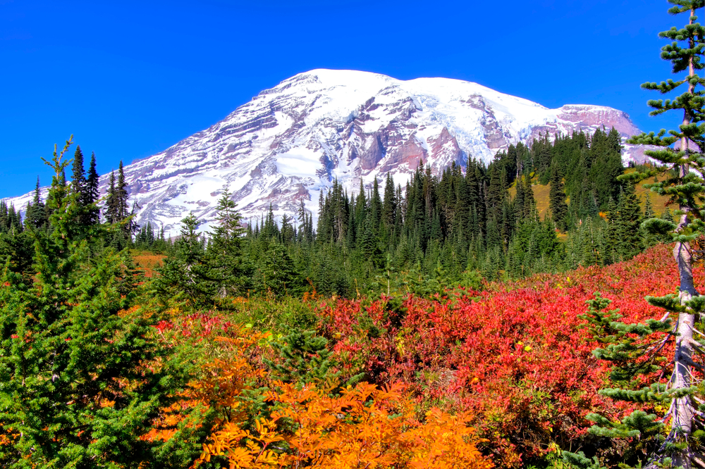 Mount Rainier National Park
