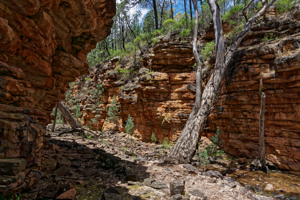 Mount Remarkable National Park