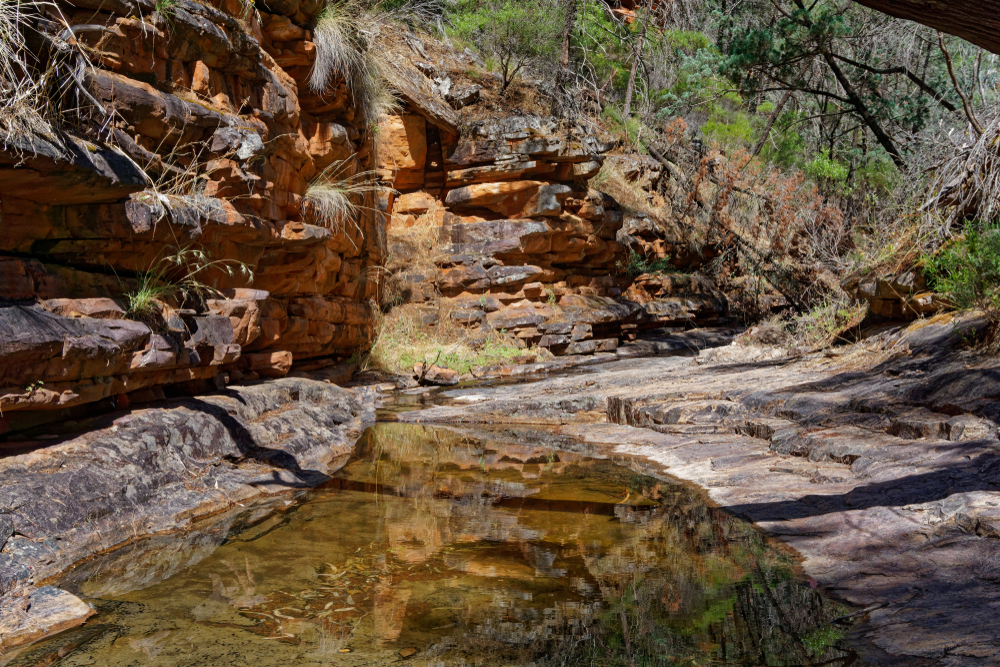 Mount Remarkable National Park