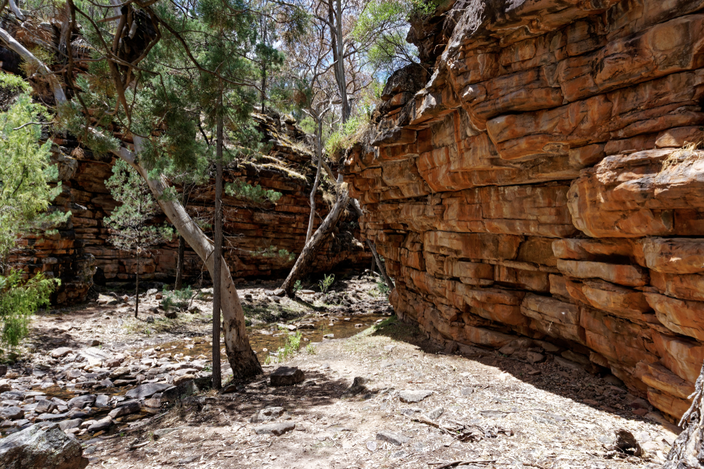 Mount Remarkable National Park