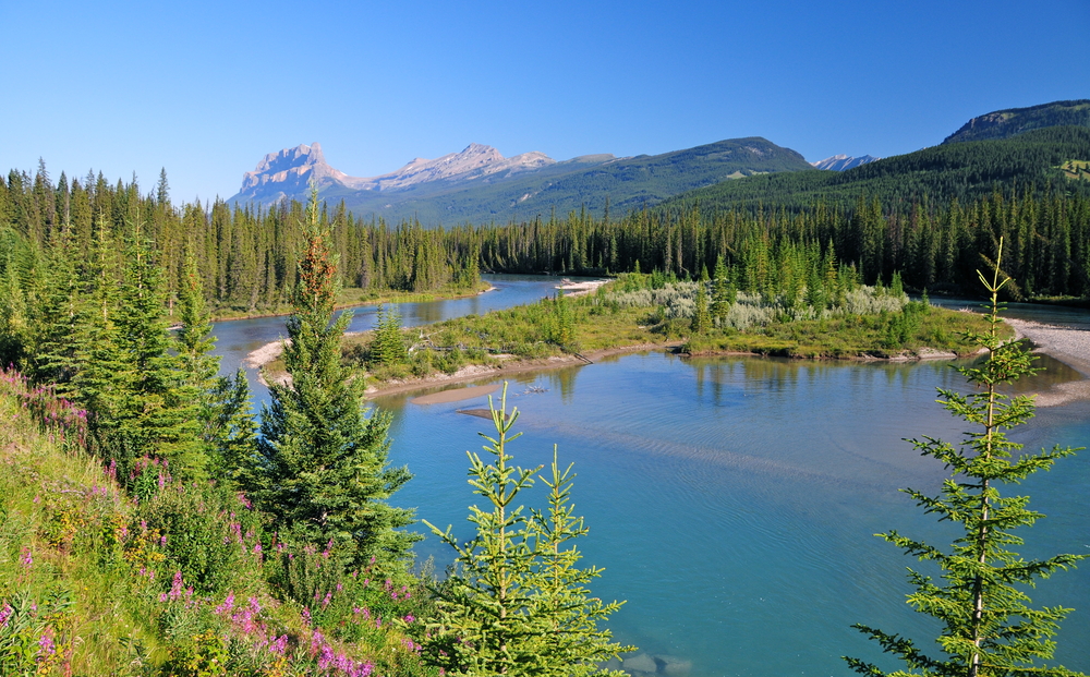 Mount Revelstoke National Park