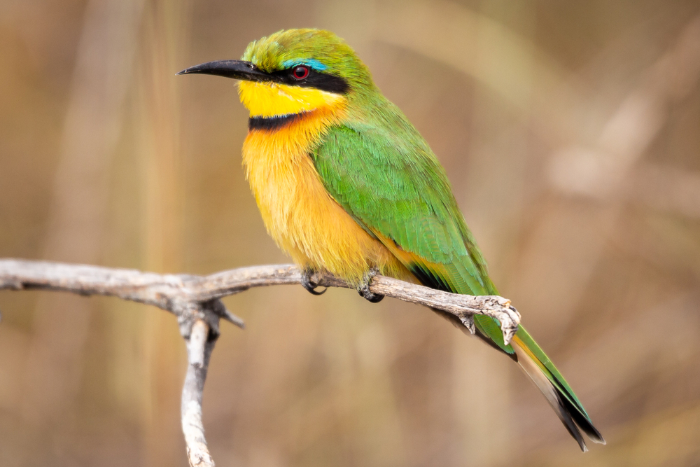 Mudumu National Park