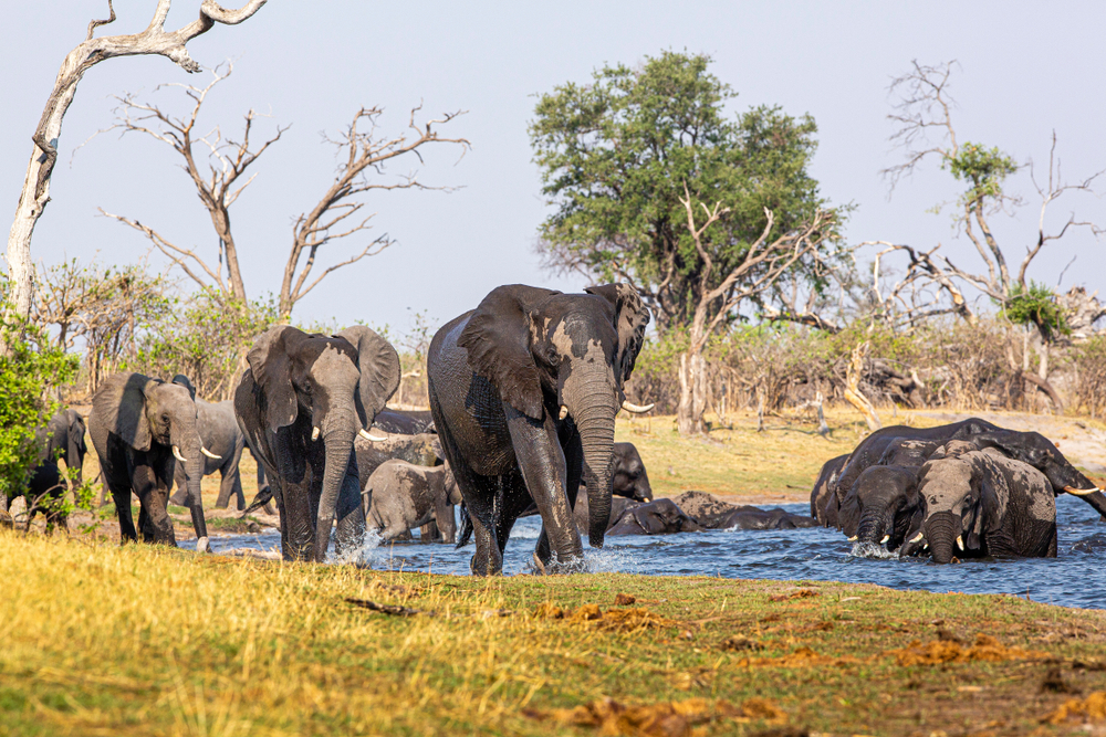 Mudumu National Park