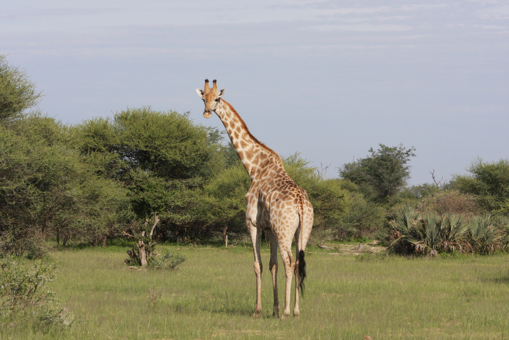 Mudumu National Park
