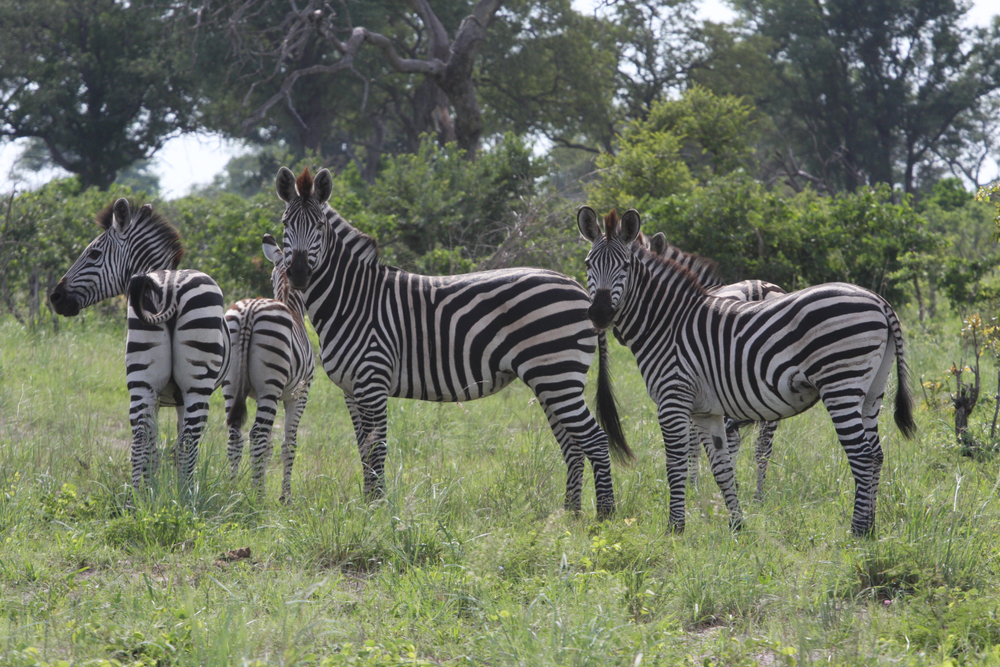 Mudumu National Park