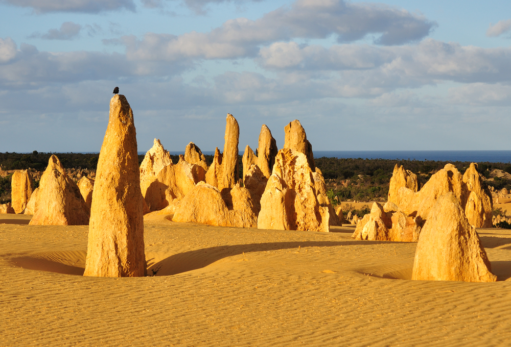 Nambung National Park