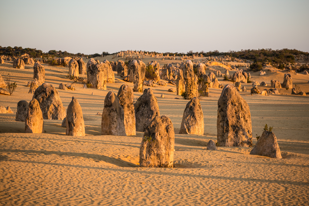 Nambung National Park