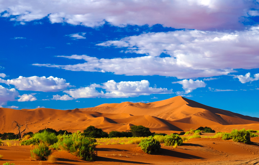 Namib-Naukluft National Park