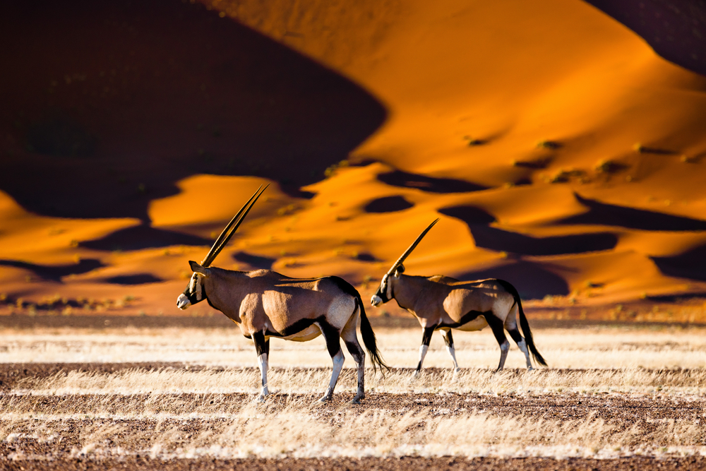 Namib-Naukluft National Park