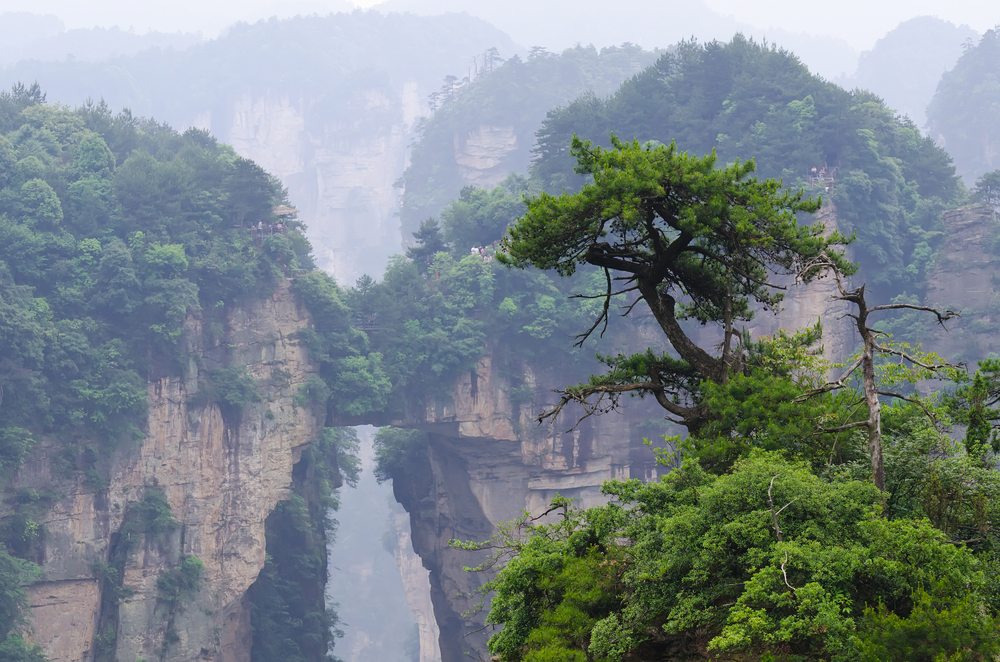 Zhangjiajie National Forest Park