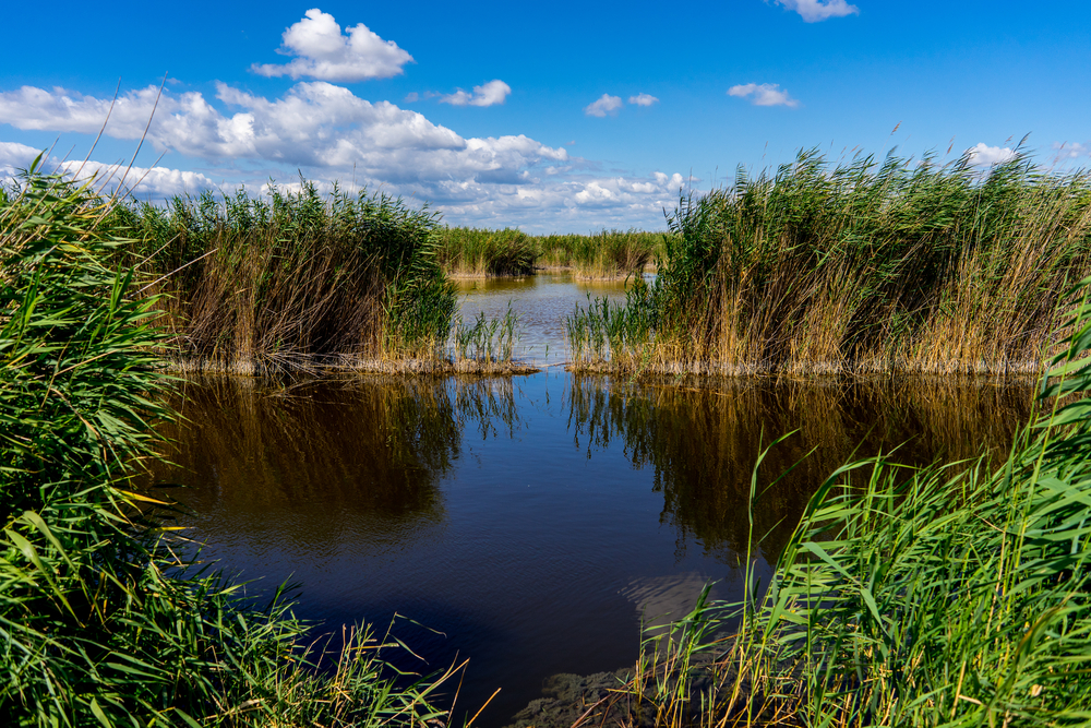 Neusiedler See-Seewinkel National Park