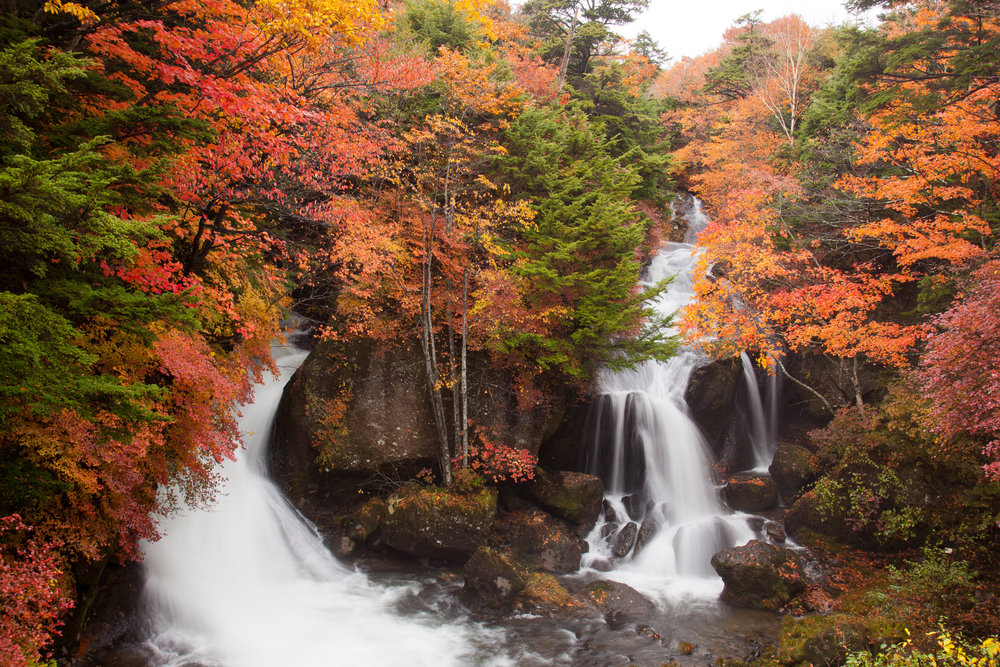 Nikko National Park