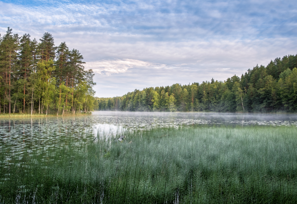 Nuuksio National Park