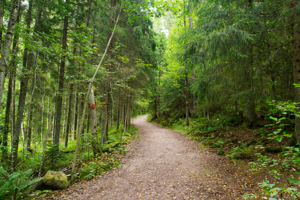 Nuuksio National Park