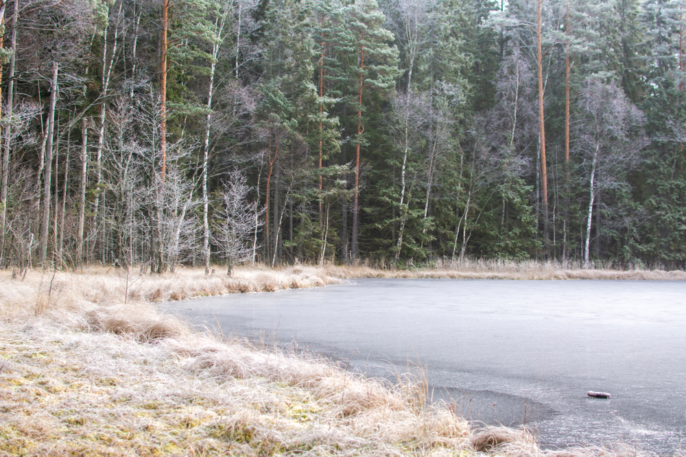 Nuuksio National Park