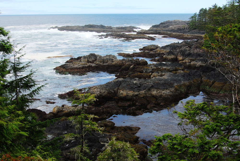 Pacific Rim National Park