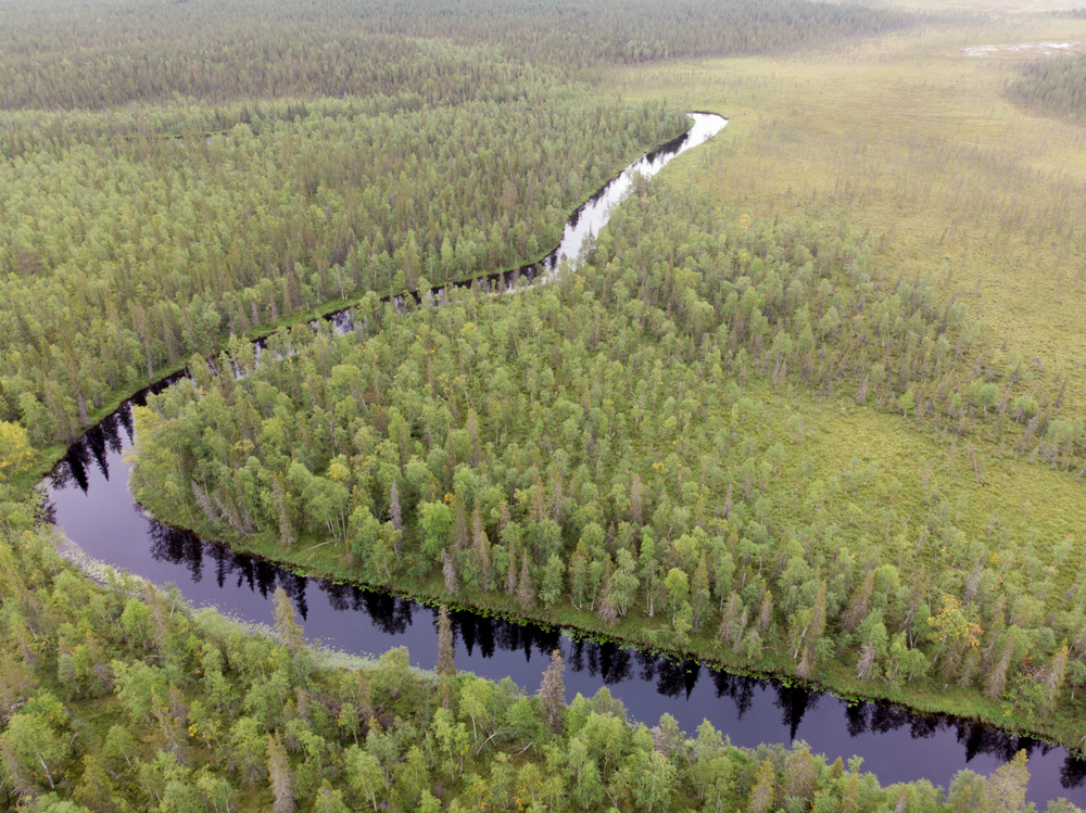 Pallas-Yllastunturi National Park