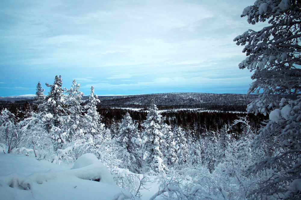 Pallas-Yllastunturi National Park