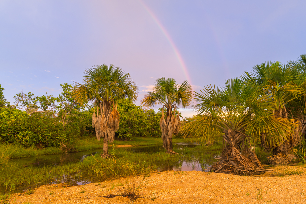 Aguaro-Guariquito National Park
